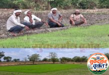 धान रोवनी व आवत्या पेरणीसाठी शेतकरी पावसासाठी आतुर.