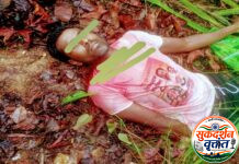 पद्मापूर जंगलात रानभाजी तोडण्यासाठी गेलेल्या 30 वर्षीय तरुणाचा वाघाच्या हल्ल्यात मृत्यू 📍या वर्षातील मानव – वन्यजीव संघर्षातील हा 25 वा बळी ; नागरिकांच्या सुरक्षेचा प्रश्न ऐरणीवर