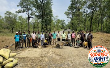 वन विभागाचा कौतुकास्पद पुढाकार! अनेक वर्षांपासून दुरवस्थेत असलेला ” नायगुंडा नाला ” स्वखर्चाने आणि श्रमदानाने केला दुरुस्त 📍झिंगानूर परिसरातील अनेक गावांतील ग्रामस्थांना आणि वनकर्मचाऱ्यांना मिळाला मोठा दिलासा ; प्रशासनाच्या उदासीनतेनंतर वन विभाग सरसावला