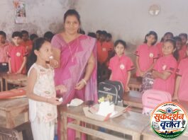 शिष्यवृत्ती परीक्षेत सौम्या बिंजवेचे यश.