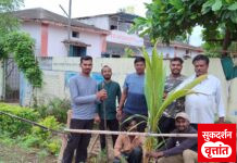 वाचनालय ग्रुप च्या वतीने वृक्षारोपण कार्यक्रम संपन्न.