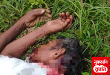 सावली तालुक्यातील व्याहाड खुर्द उपवन परिक्षेत्र केरोडा परिसरात वाघाच्या हल्ल्यात गुराखी जखमी