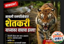 सावली तालुक्यातील सावली वनपरिक्षेत्राअंतर्गत येणाऱ्या सामदा (दागोबा परिसरात) आज वाघाच्या हल्ल्यात एका शेतकऱ्याचा दुर्दैवी मृत्यू