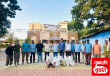 अंमली पदार्थाचे उत्पादन घेऊन विक्री करणाऱ्या आरोपीस गडचिरोली पोलीसांनी केली अटक ; एकूण 21 लाख 82 हजार रुपयांचा अंमली पदार्थ हस्तगत 📍स्थानिक गुन्हे शाखा व पोस्टे कोटगुल येथील पोलीस पथकाची संयुक्त कारवाई