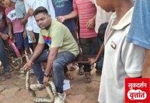 सर्पमित्र रजत मदनकर यांनी दिले आठ फुट अजगराला जीवदान