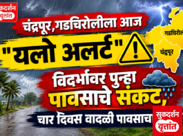 चंद्रपूर,गडचिरोलीला आज ” यलो अलर्ट ” विदर्भावर पुन्हा पावसाचे संकट,चार दिवस वादळी पावसाचा इशारा